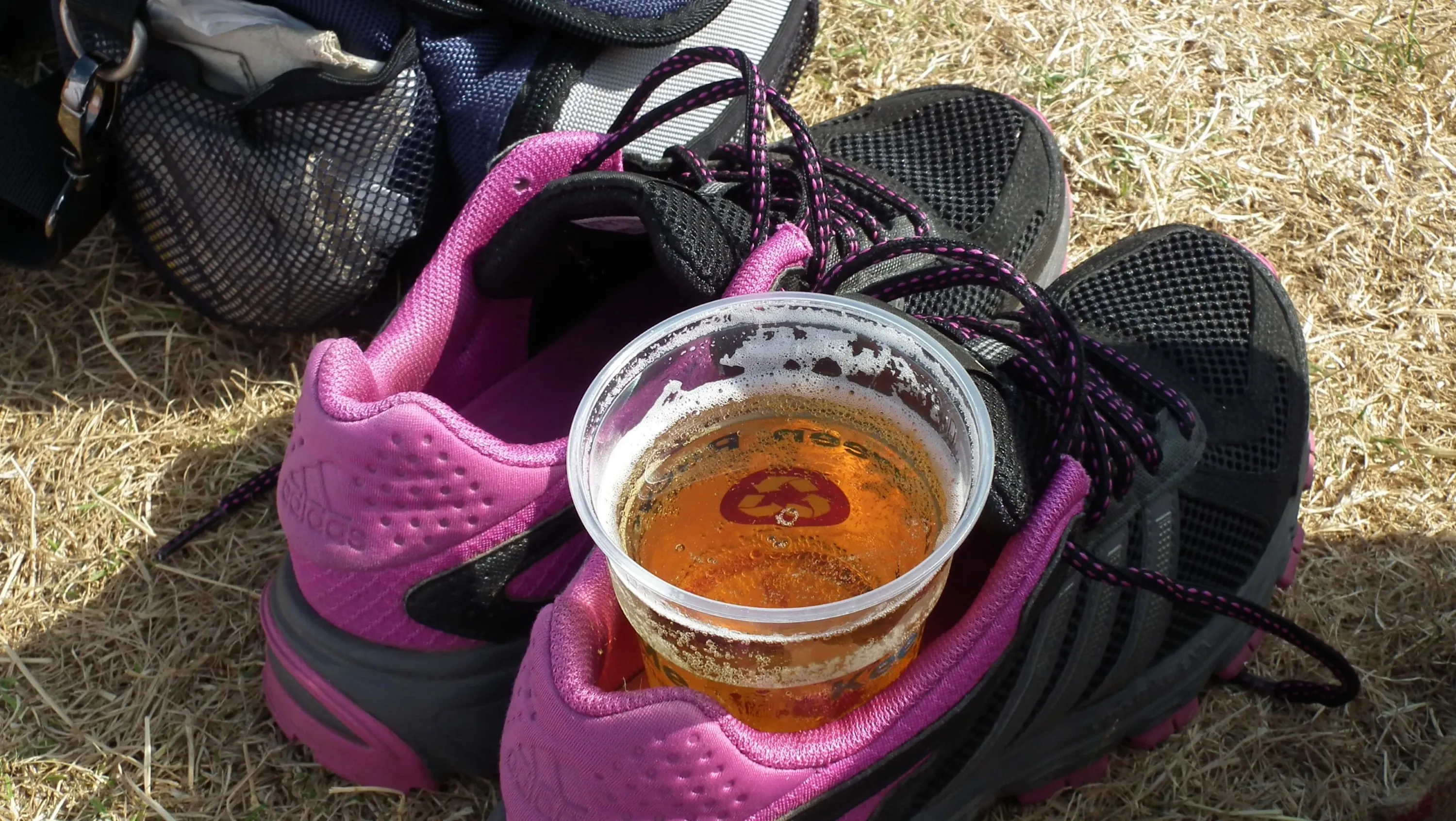 G09 Tom Petty BST Concert Hyde Park London 09 Jul 10