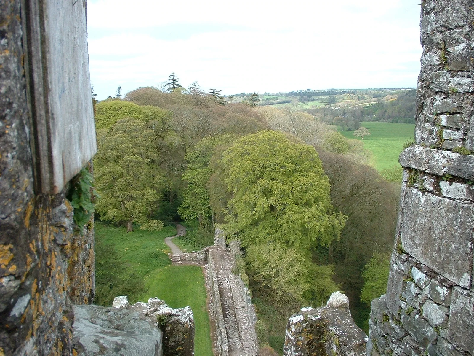 Dscf0018