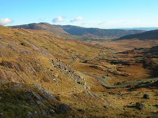 Healypass