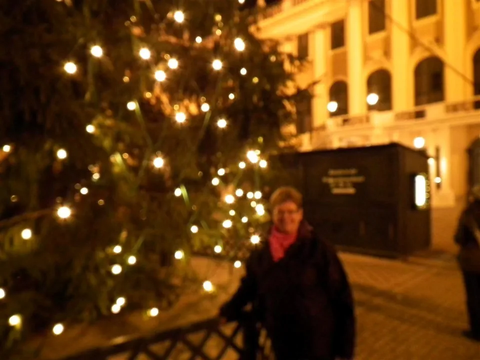 Austria Vienna for Christmas