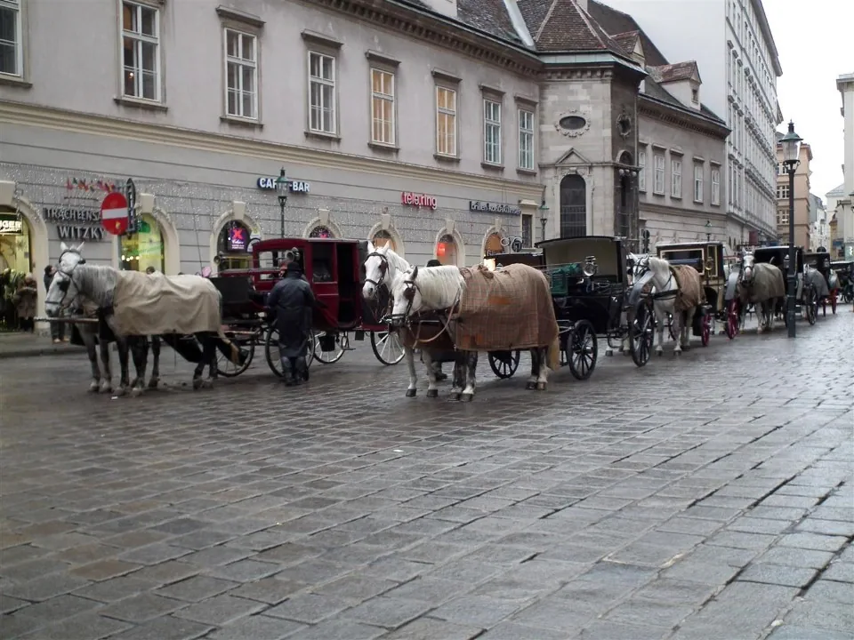 Austria Vienna for Christmas