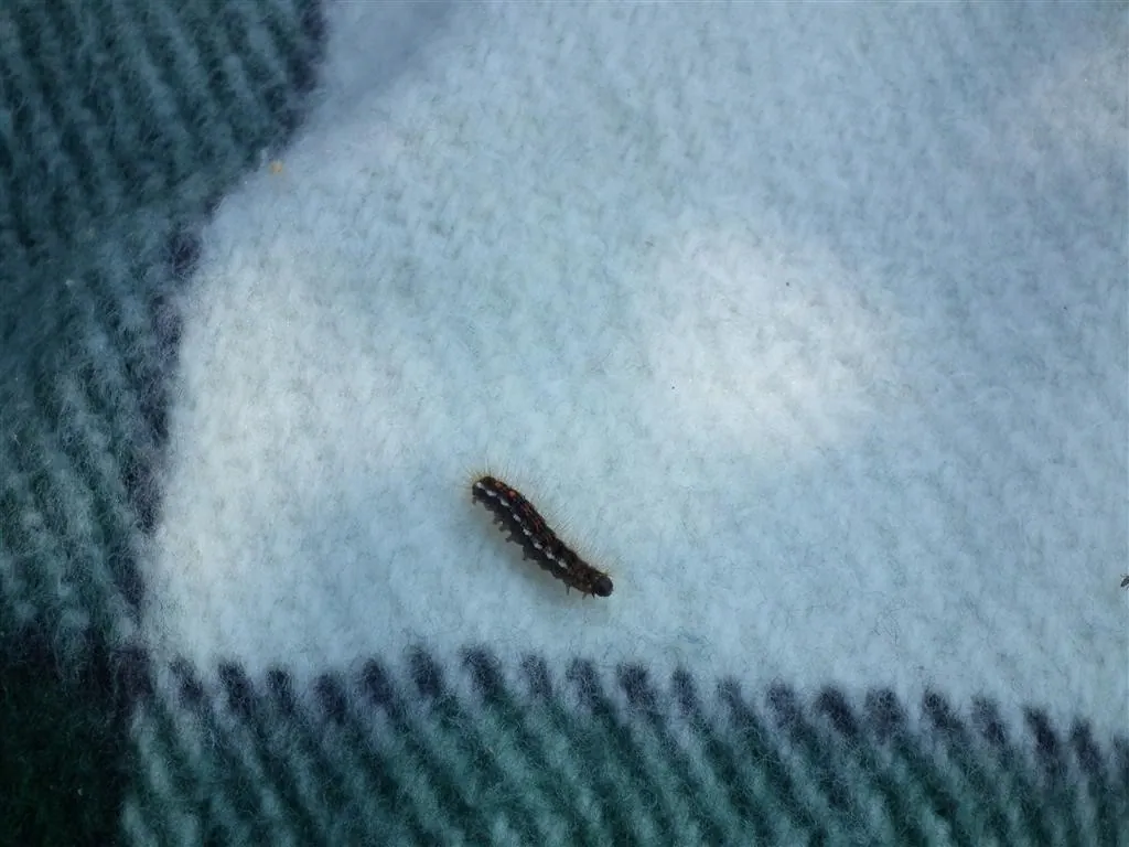 Rouen 2011 26 20130219 1146802160