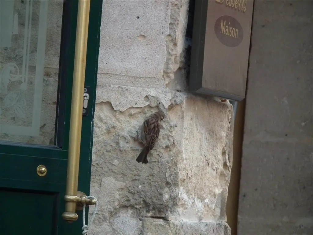 Rouen 2011 96 20130219 1214468123