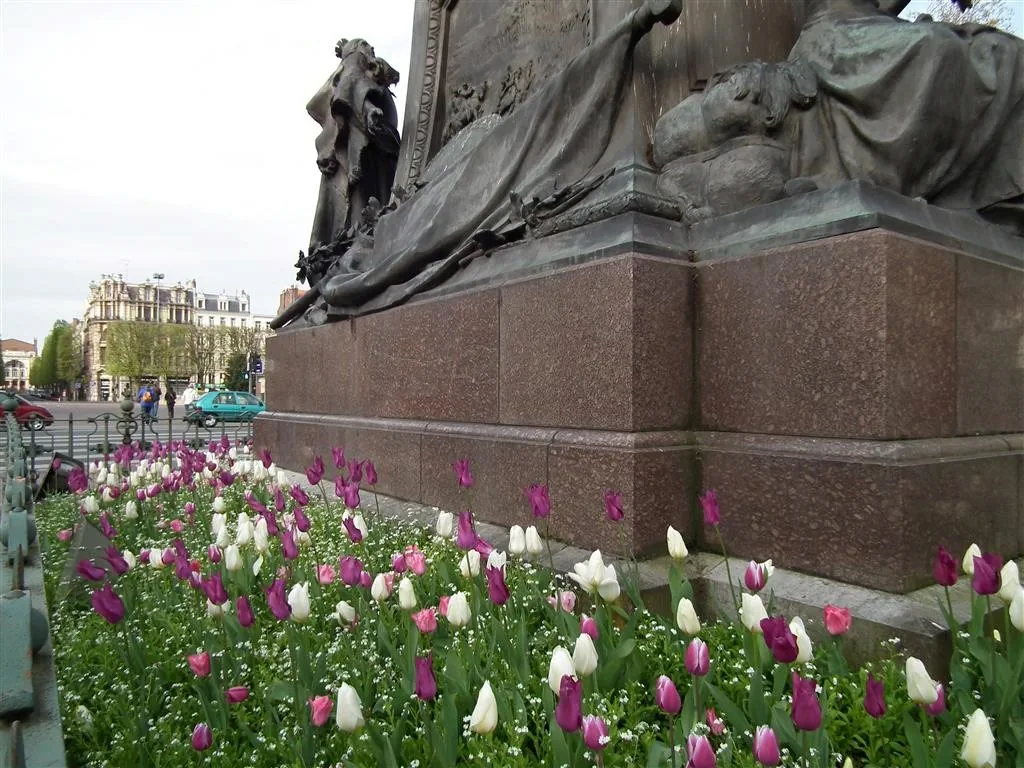 Dscf2569