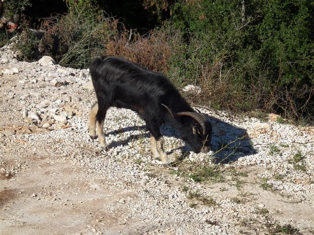Dscf3834