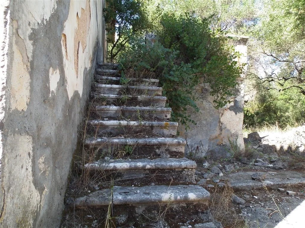 Dscf3876