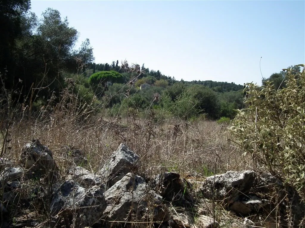 Dscf3896