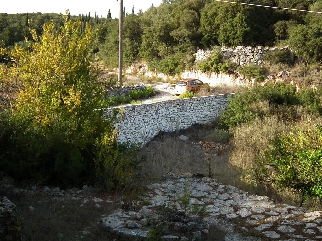 Dscf3934