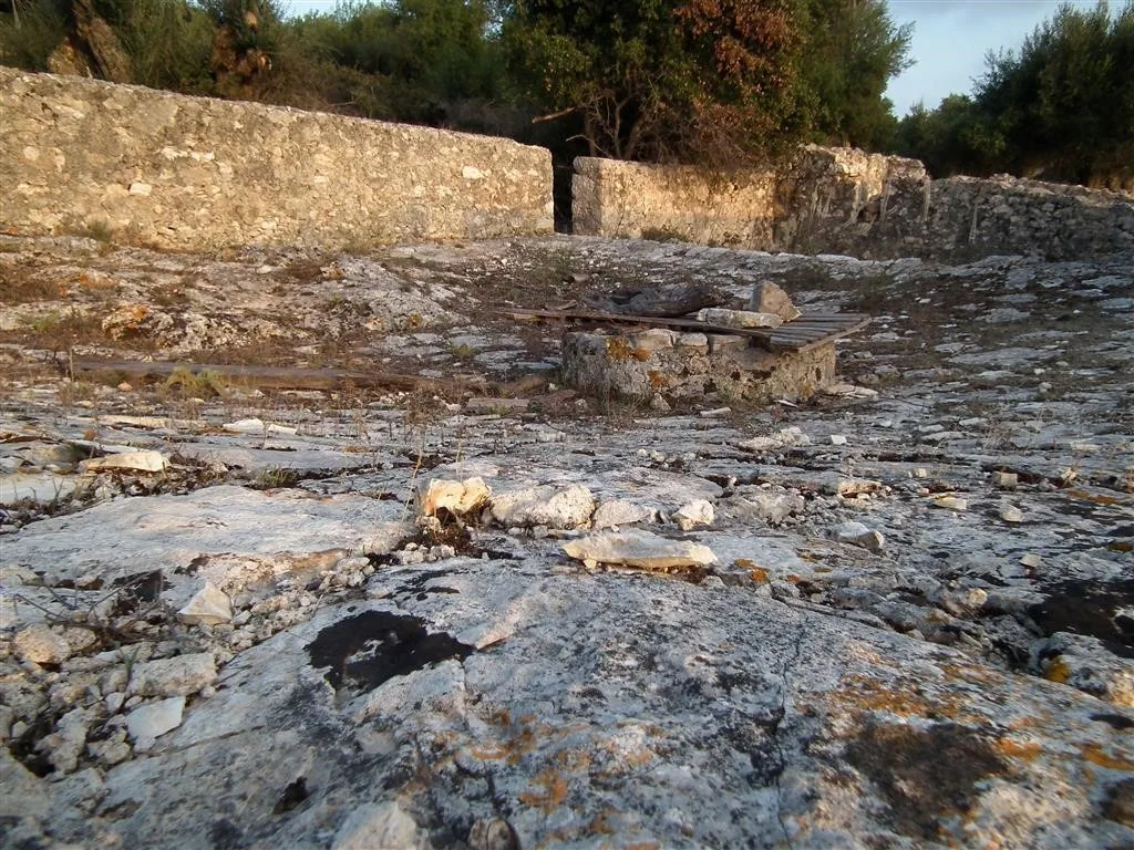 Dscf4031