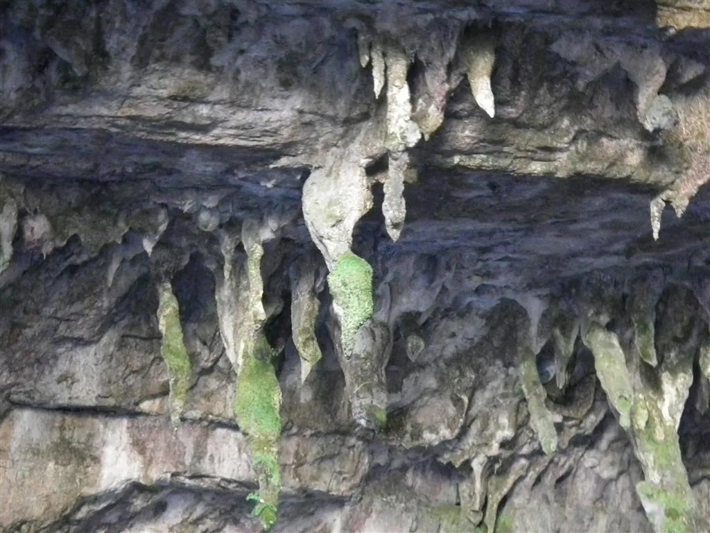 Dscf4067
