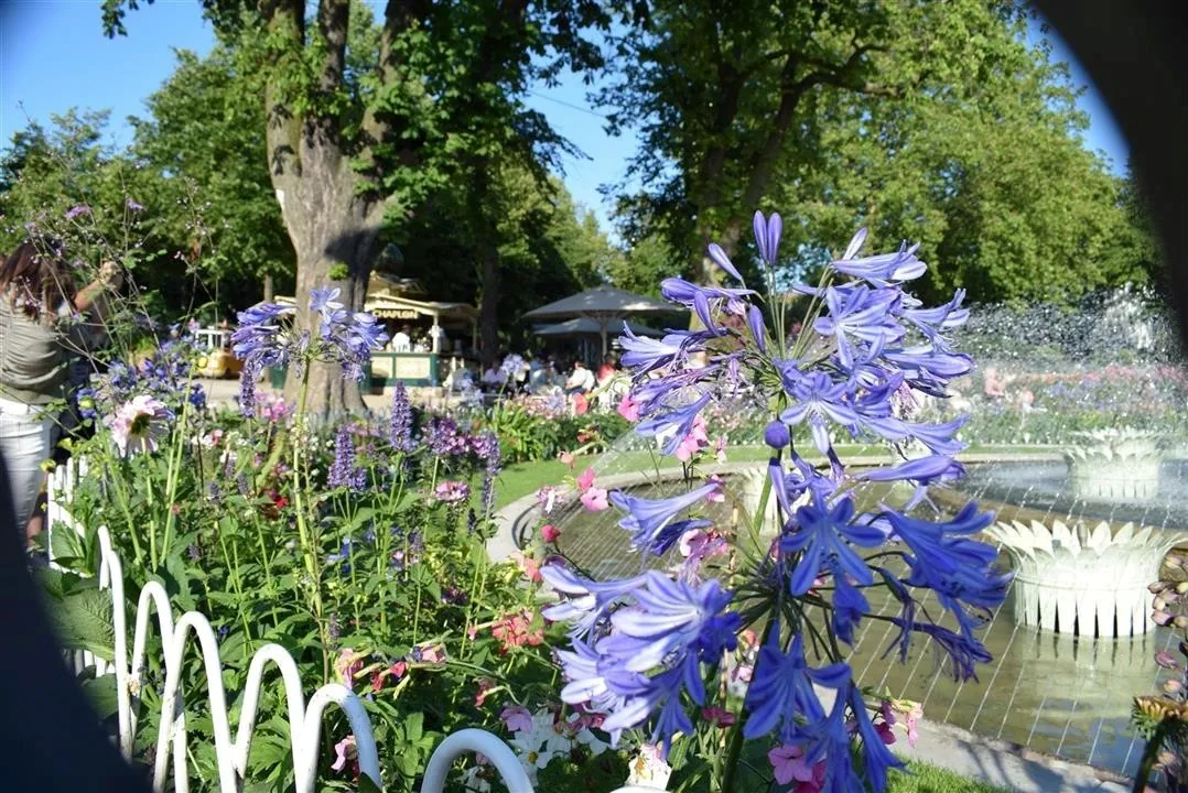 G19.4 tivoli gardens cont. wed19 jul 32