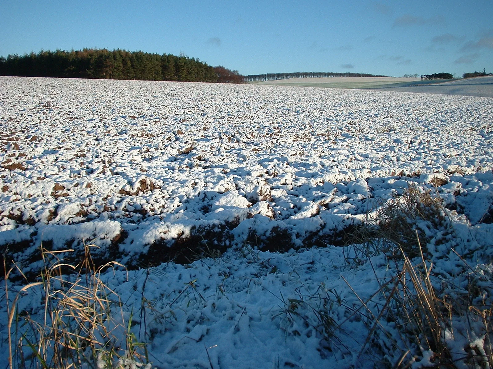 Dscf0054