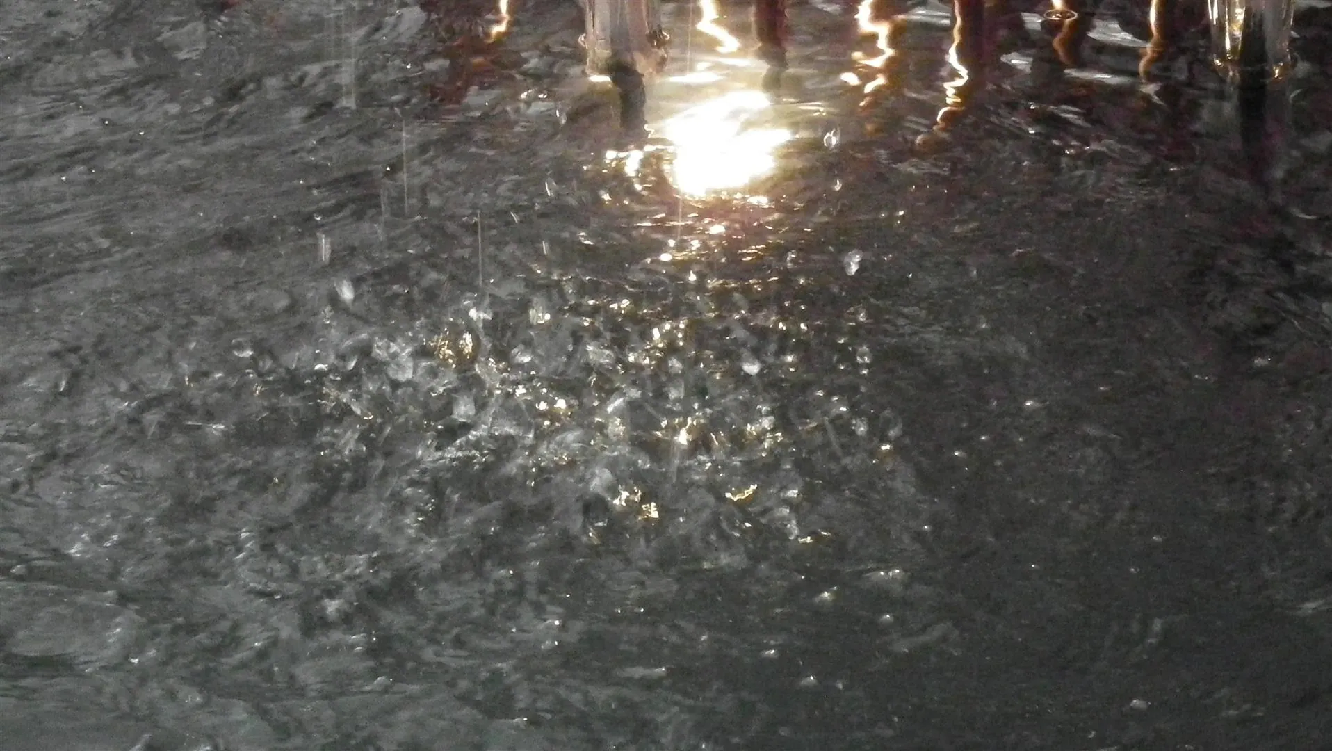 Dscf5290