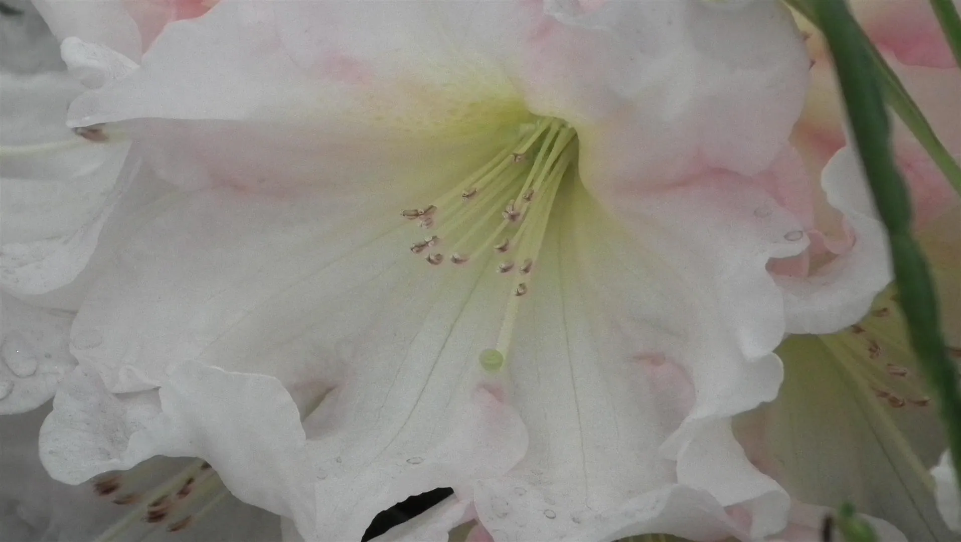 Dscf5544
