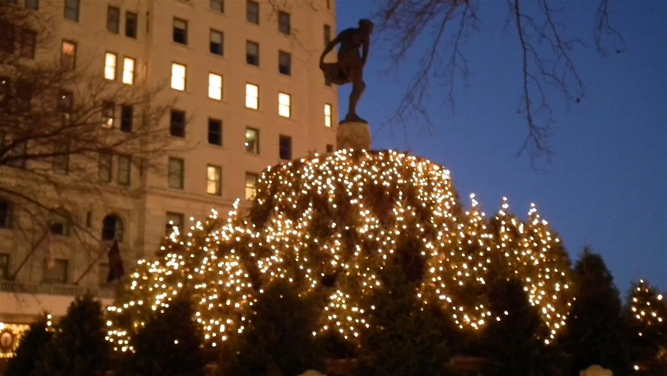 Dscf6808
