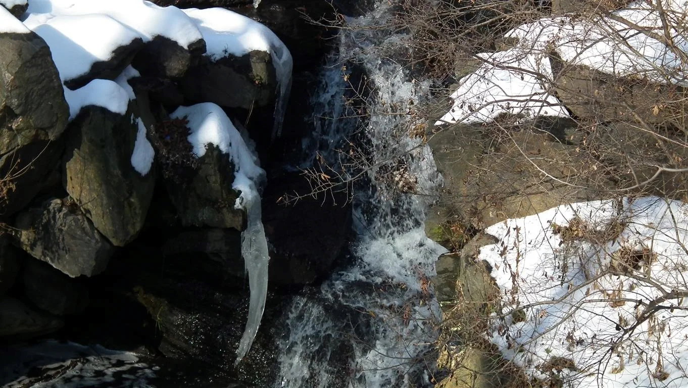 Dscf6970