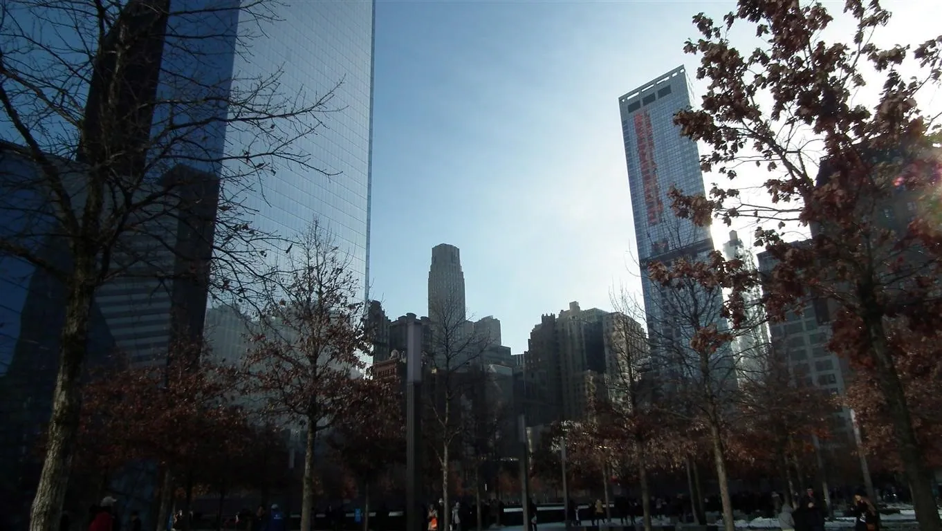 Dscf7017