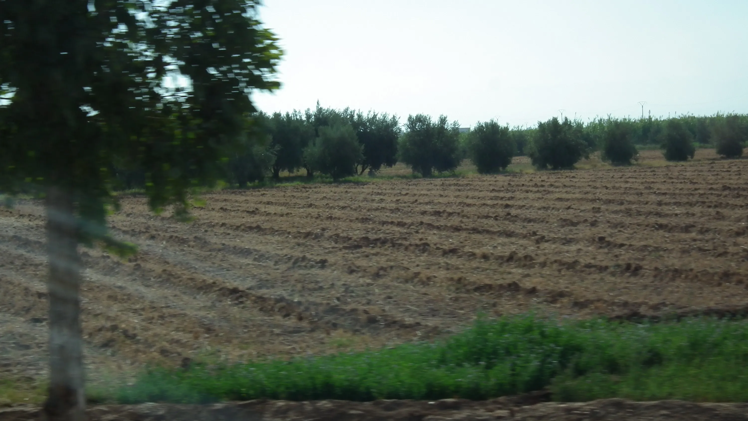 DSCF1407