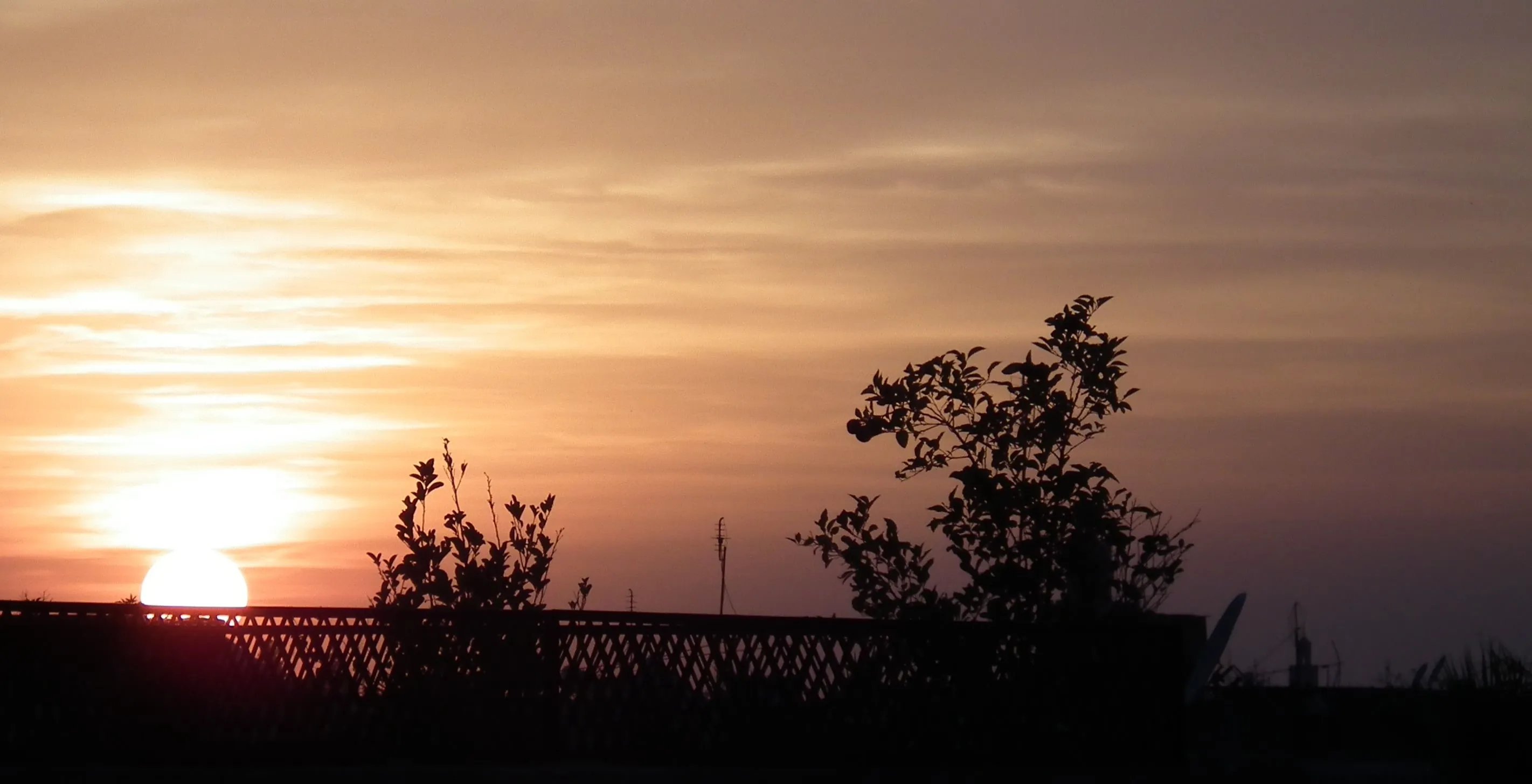 Day 2 Rooftop Sunset