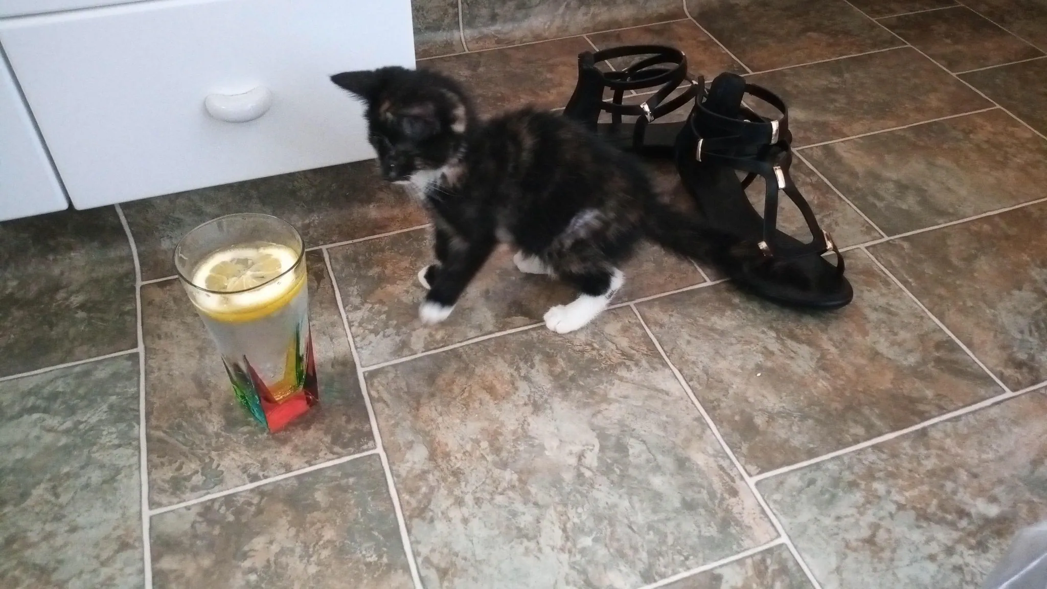 First day - not sure about Gin and Tonic