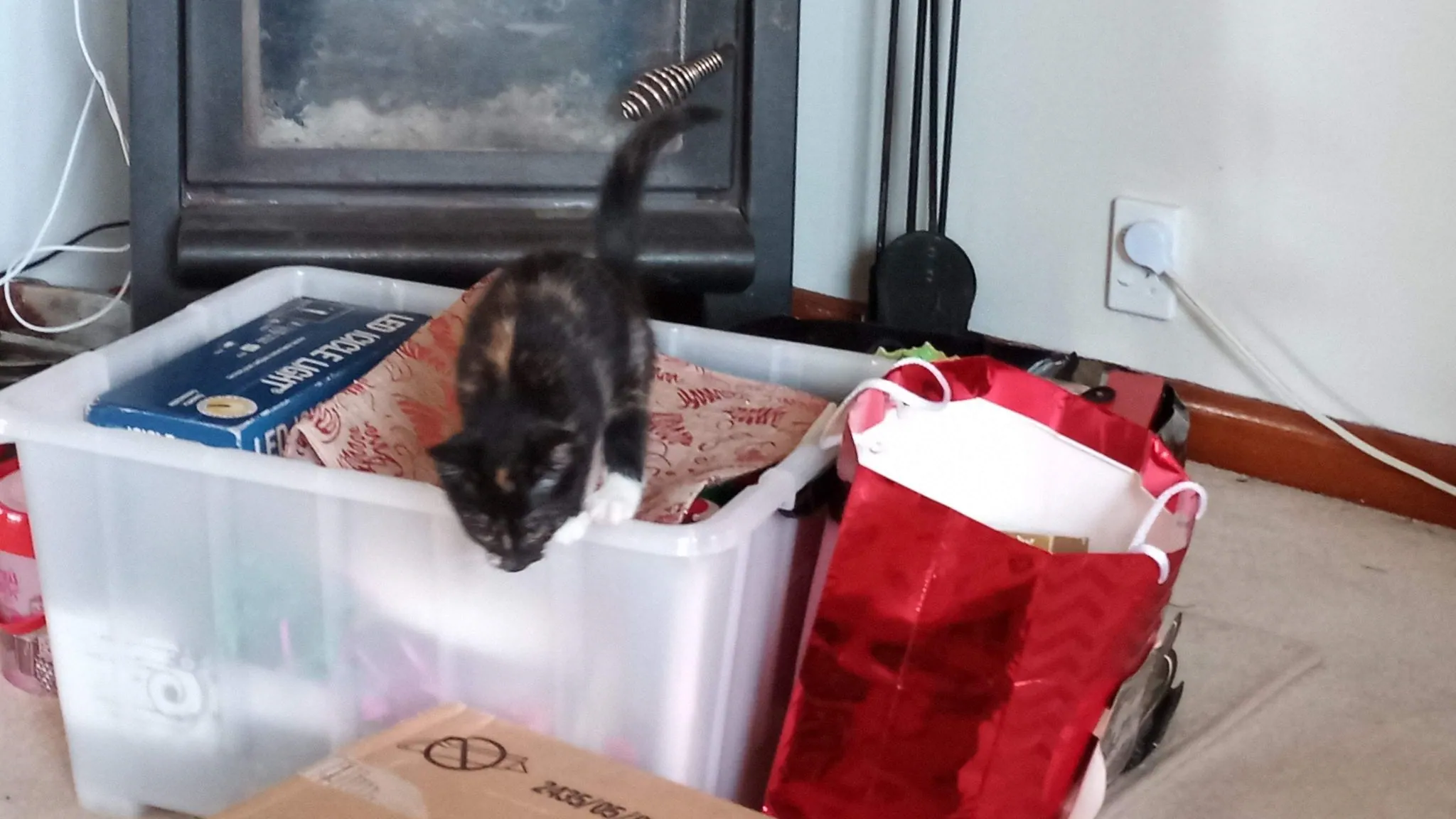 Ooh! Christmas goodies