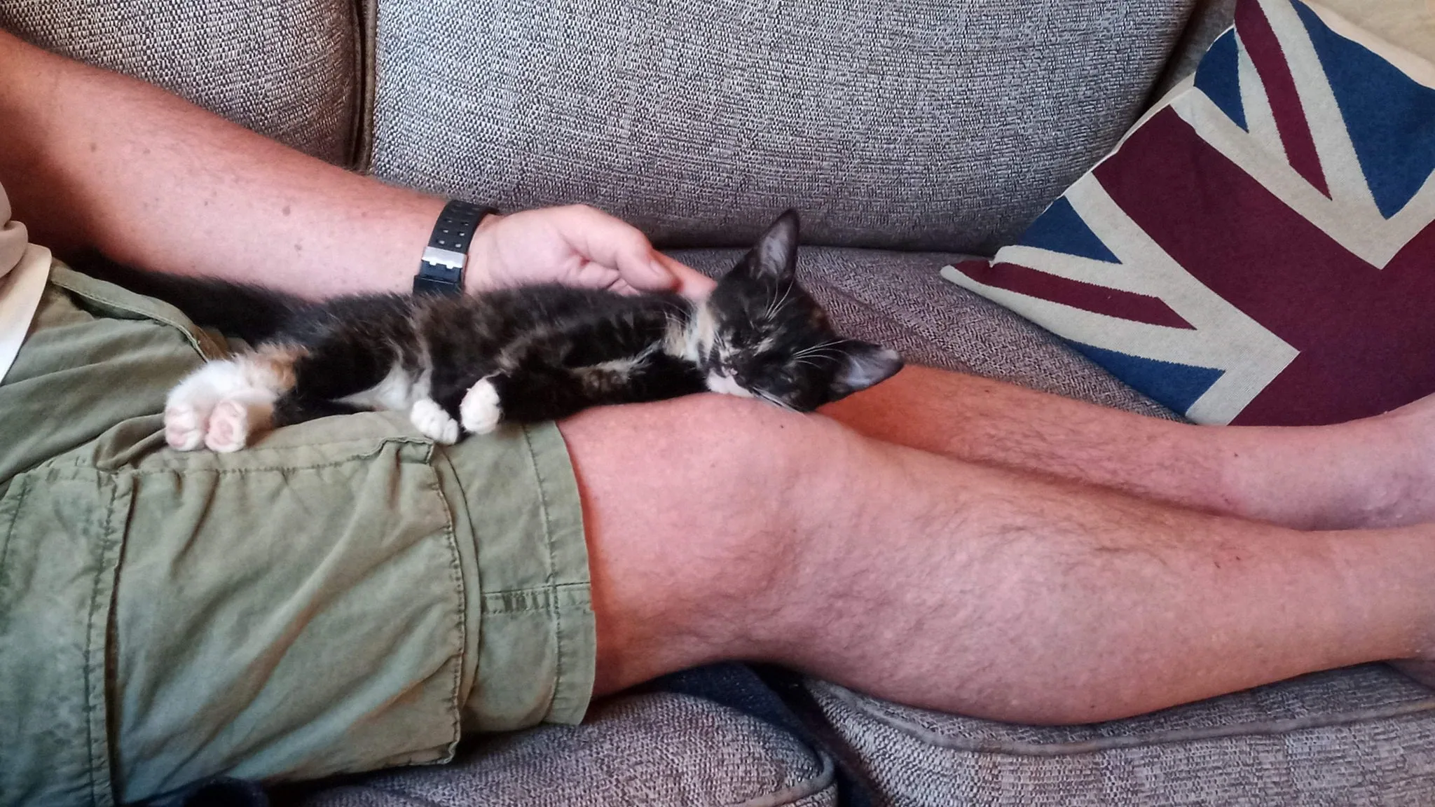 Nice warm legs to sleep on