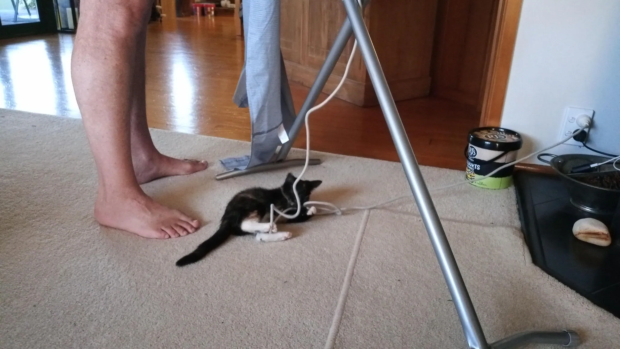 Helping with the ironing?
