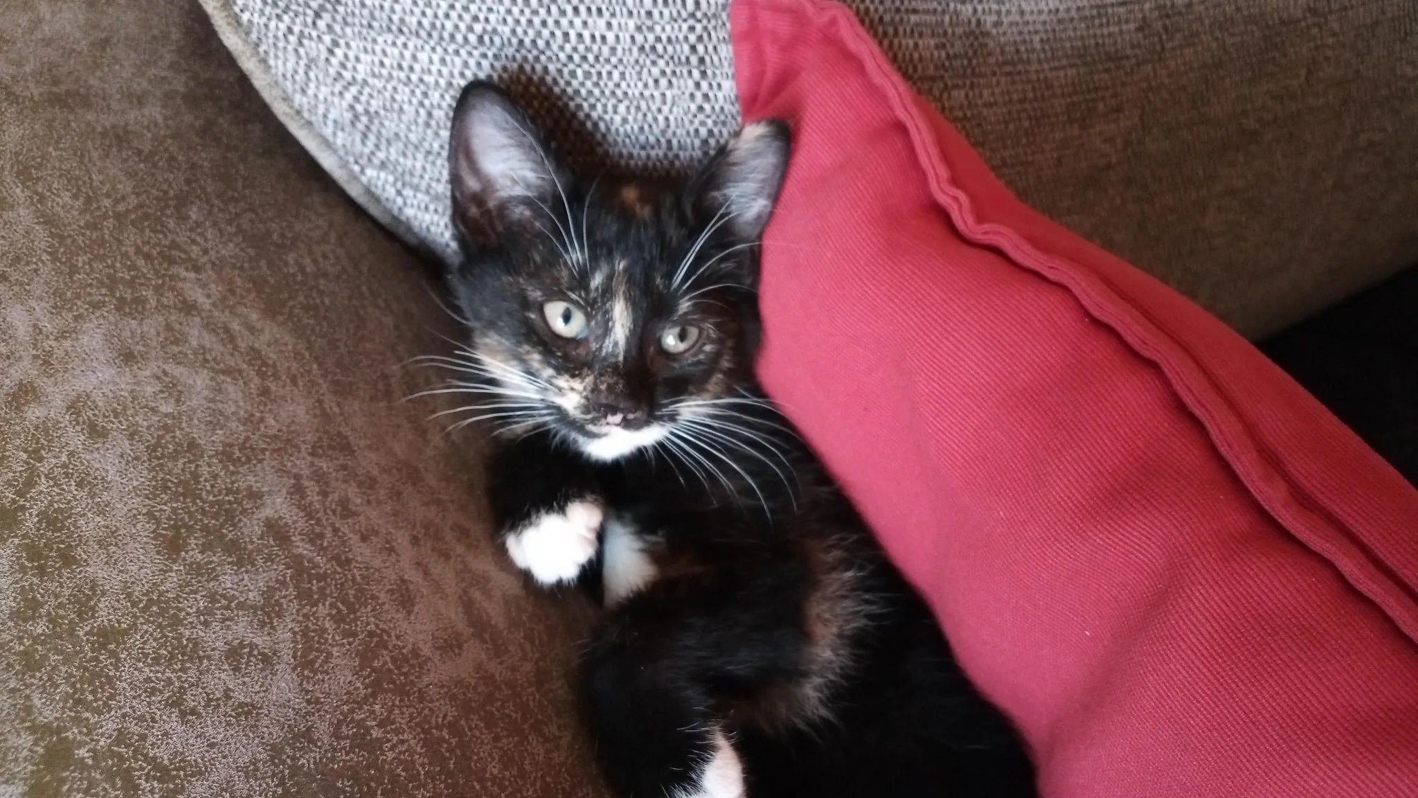 Img 20200123 193500 7