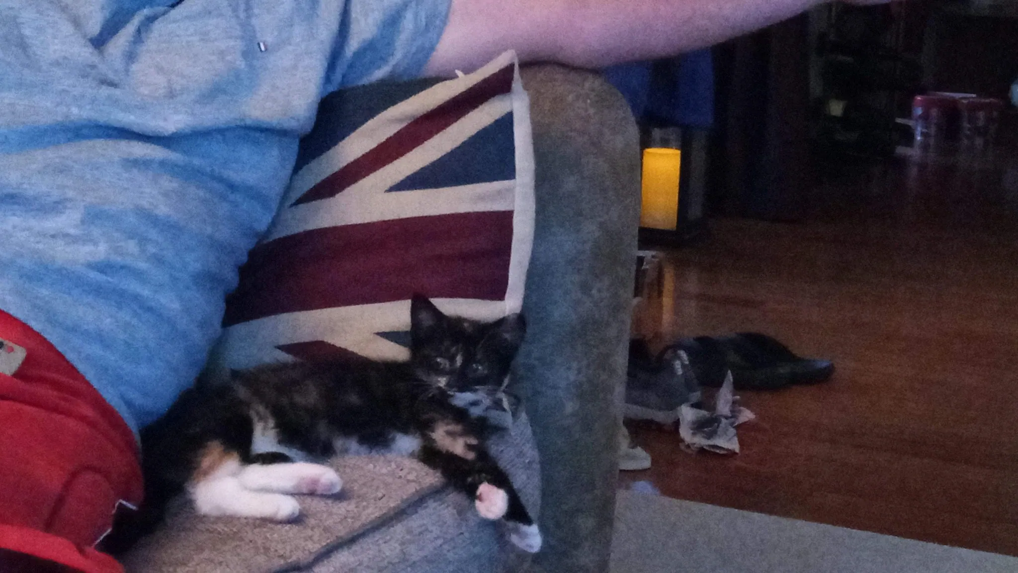 Img 20200124 204525 9