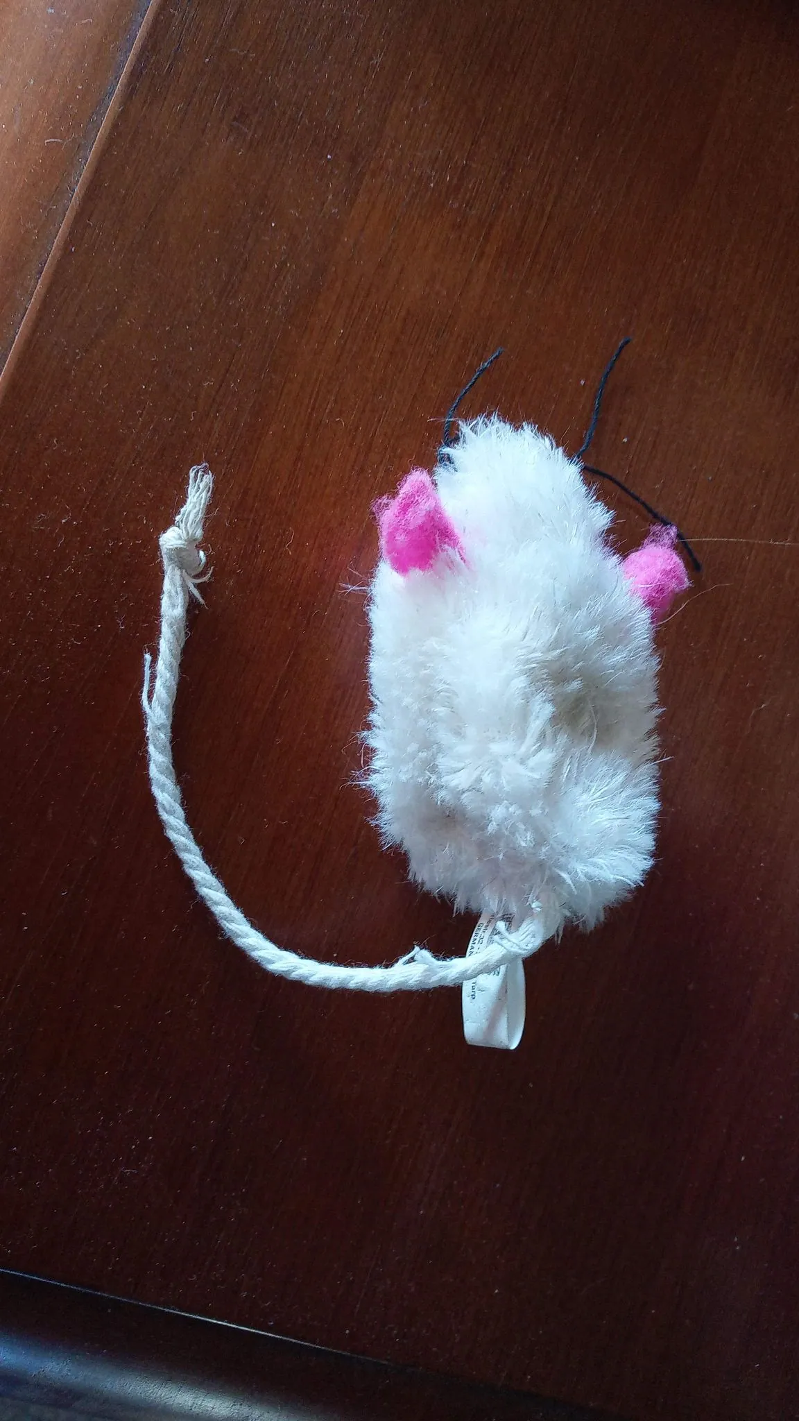 Mouse - now just a skin as the tail and stuffing are no more