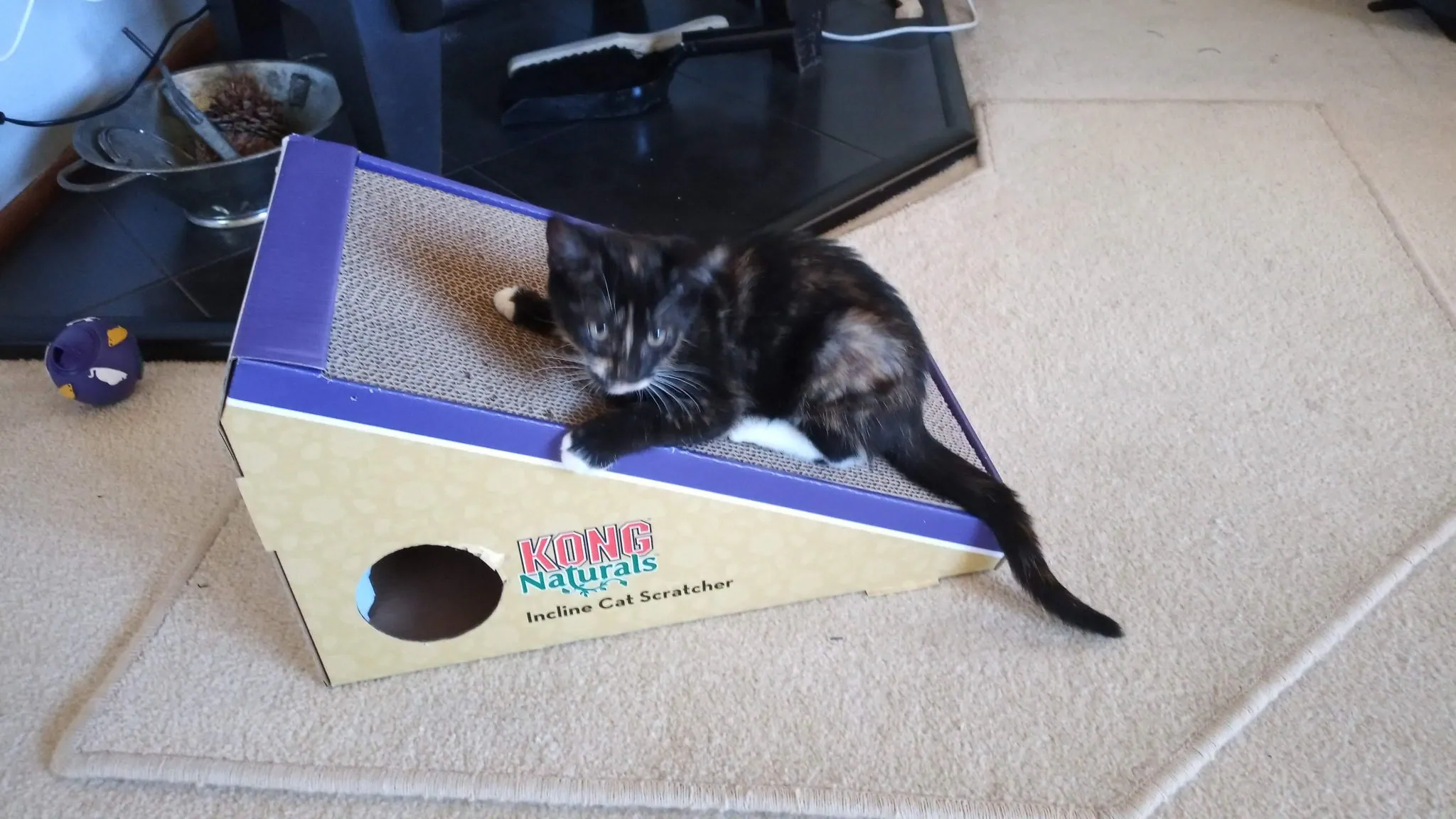 Img 20200206 112347 6