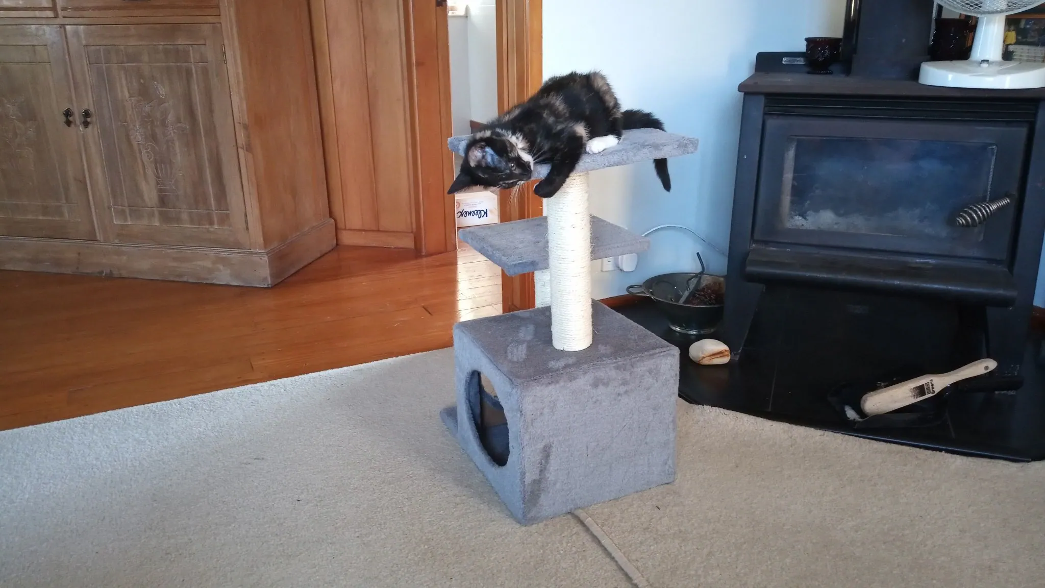 Img 20200208 082936 5