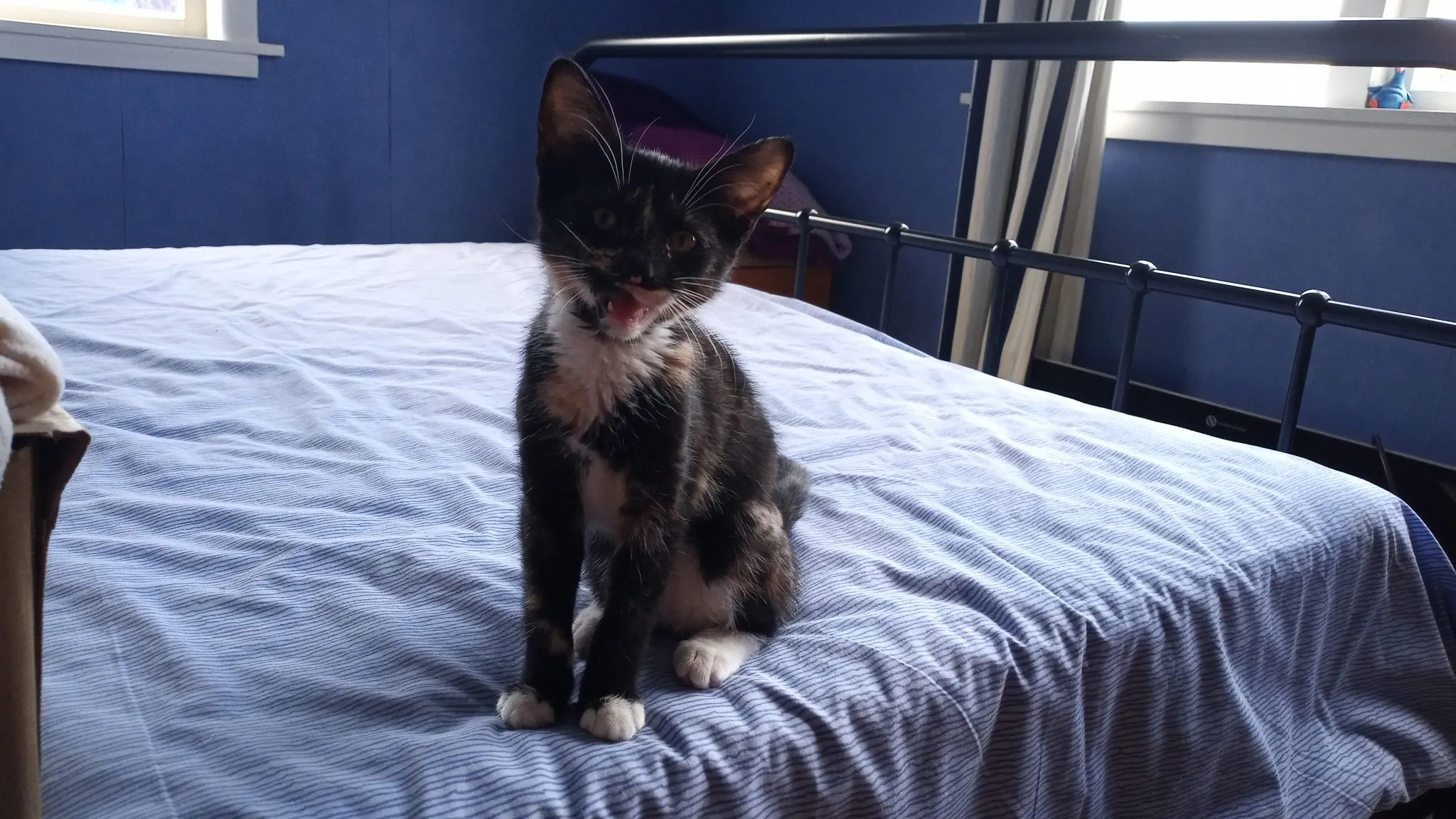 Img 20200209 120520 8