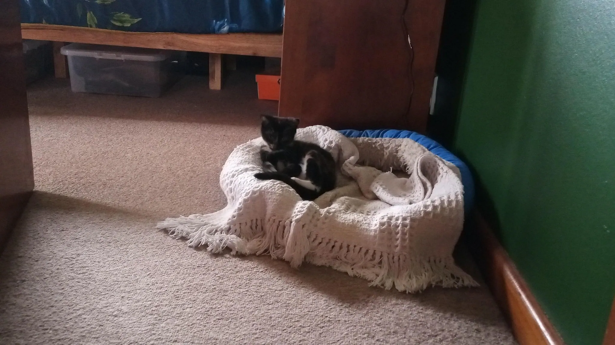 Img 20200215 174358 0