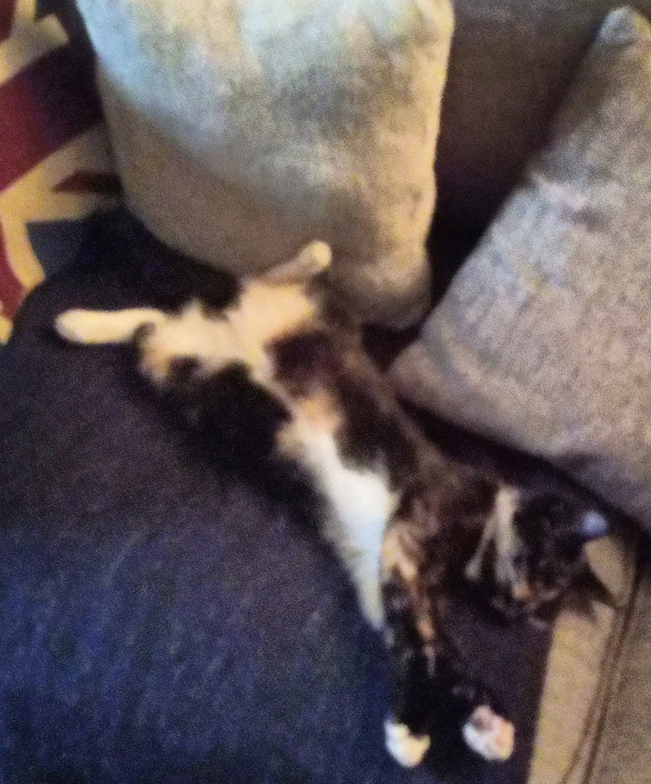 Img 20200501 195343 dro