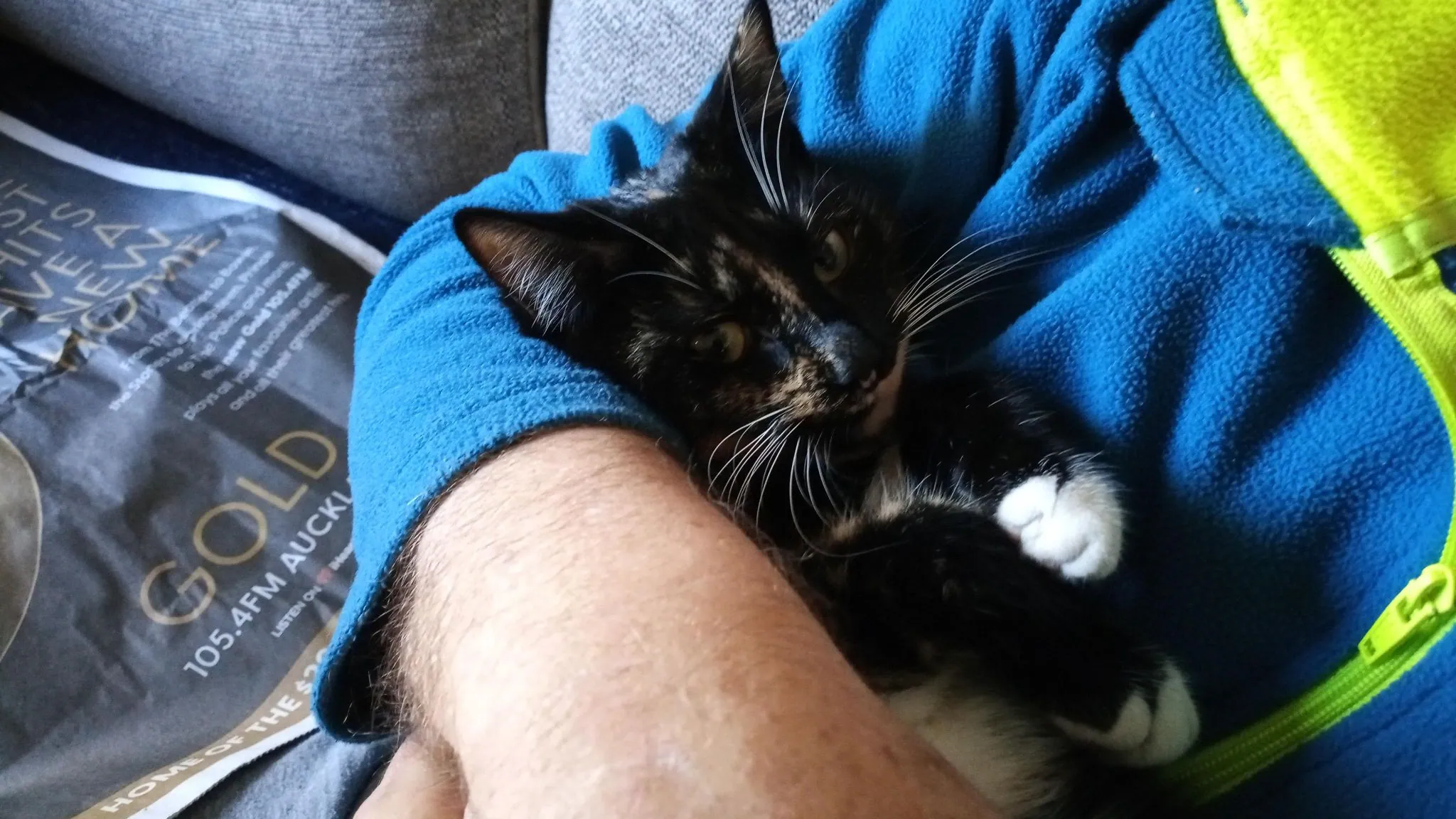 Img 20200719 104424 9