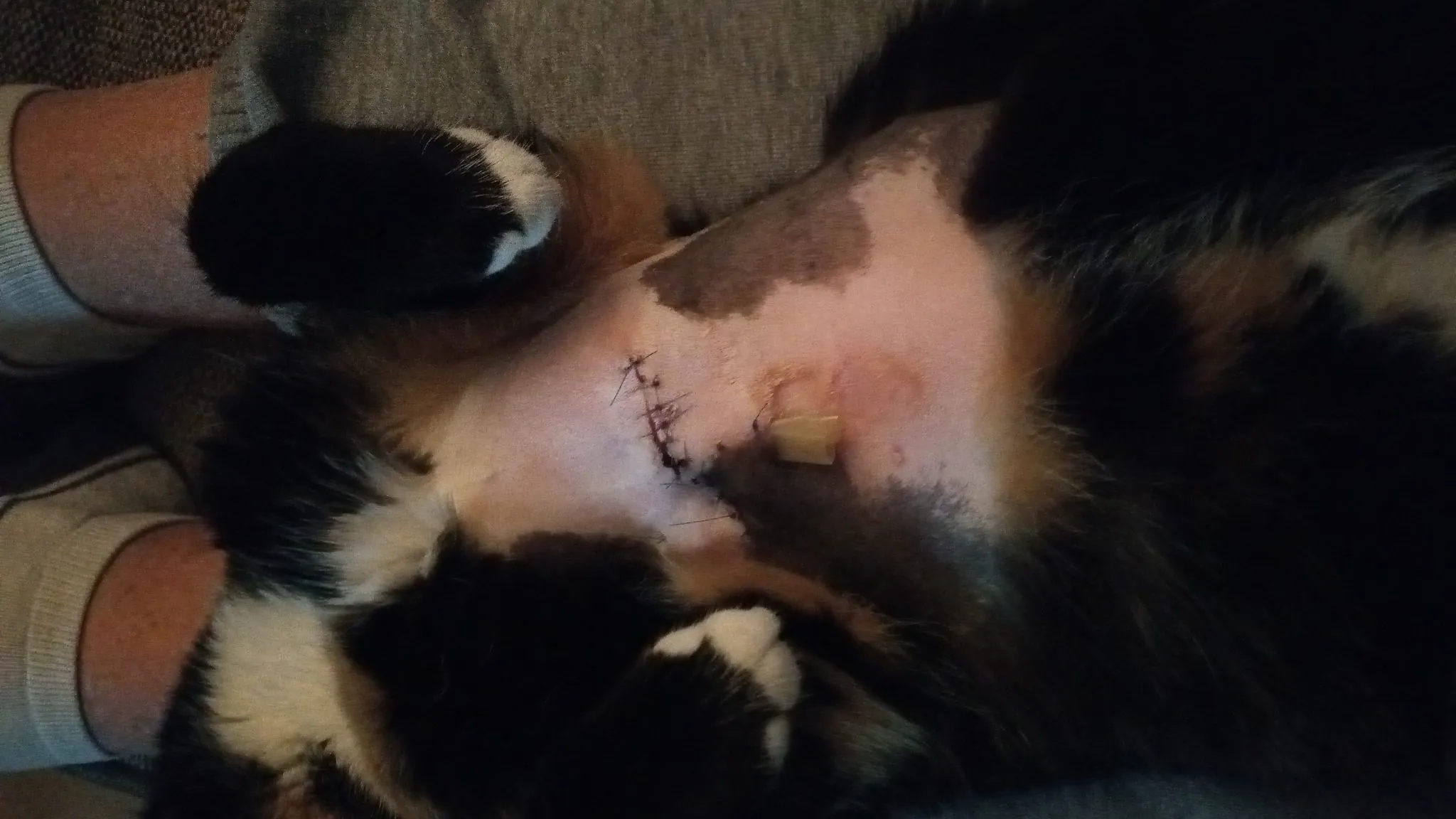 Img 20210527 183025 1