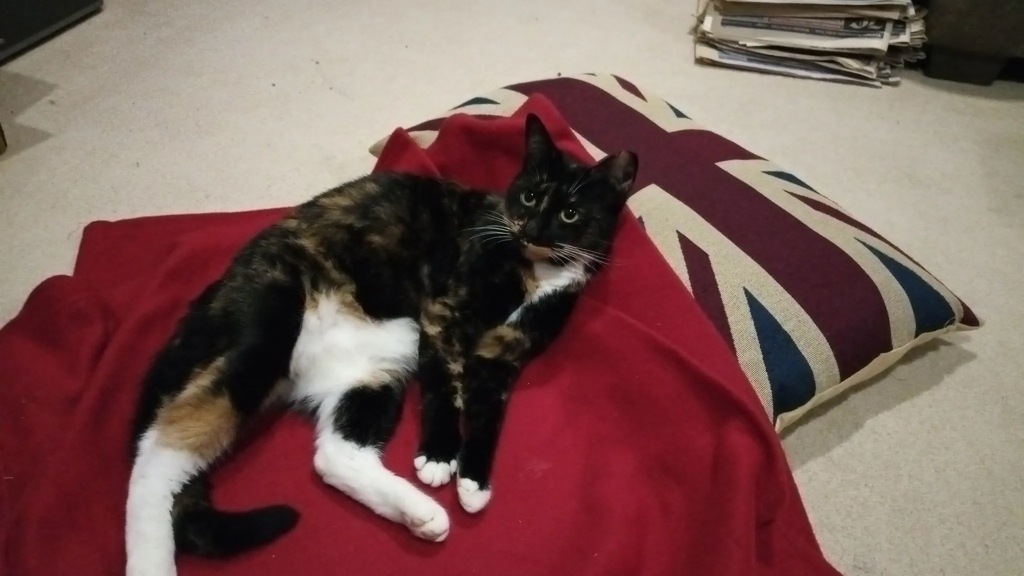 Img 20210528 231823 0