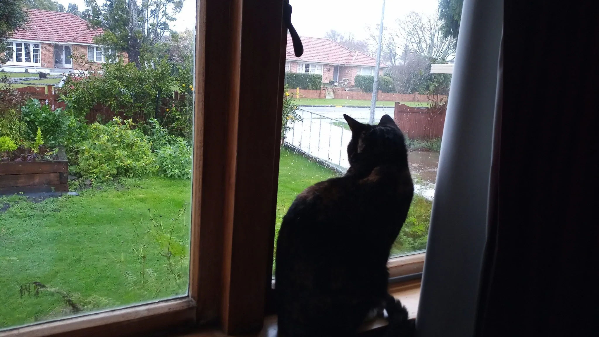 Img 20210619 095340 6