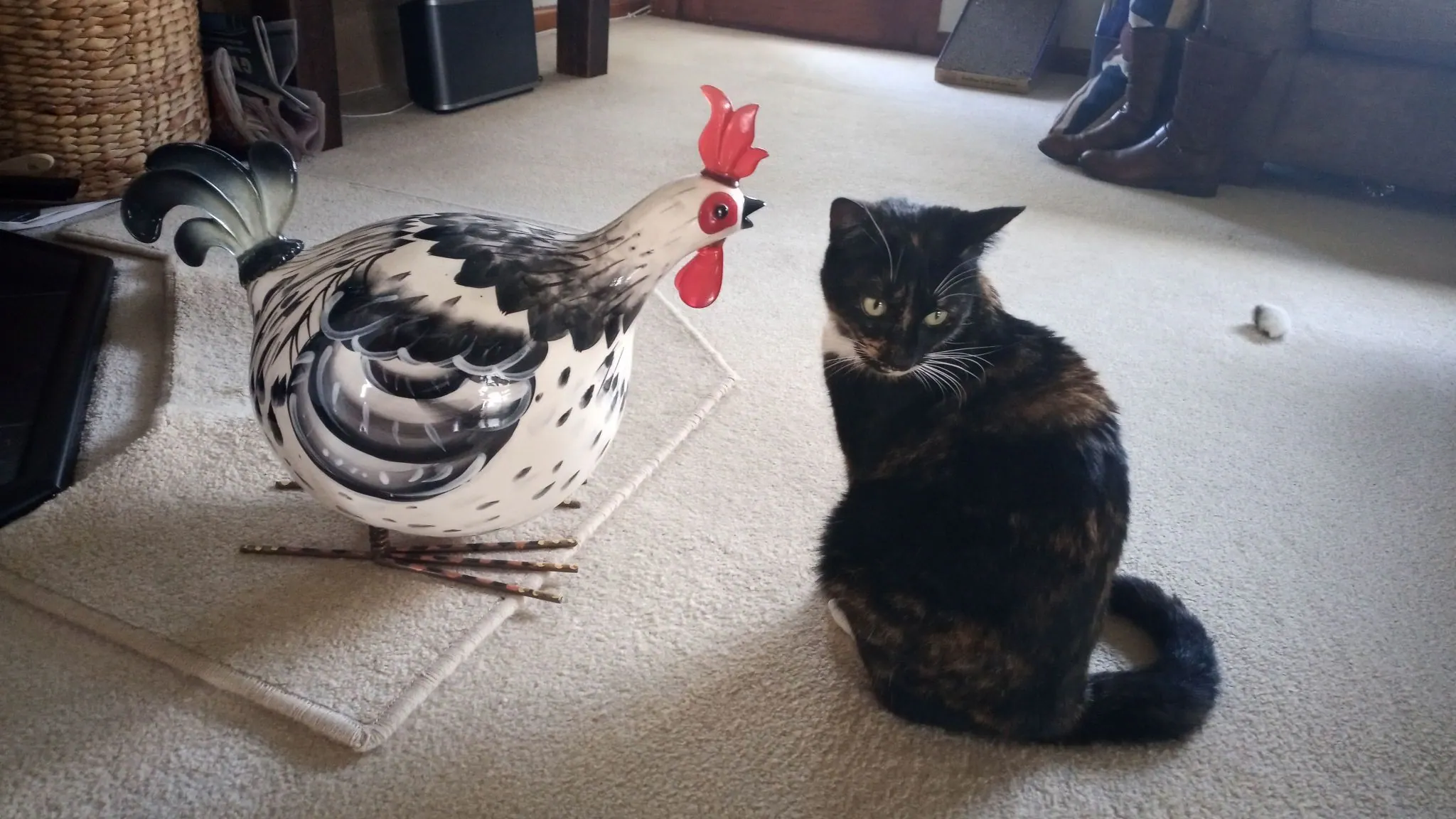 Img 20210807 121911 5